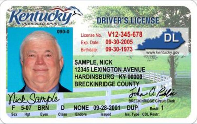 Kentucky Driver's License Sample